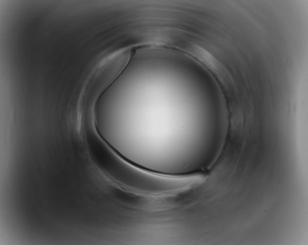 X0000090750940200707201446