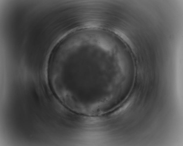 X0000090750941200707201446