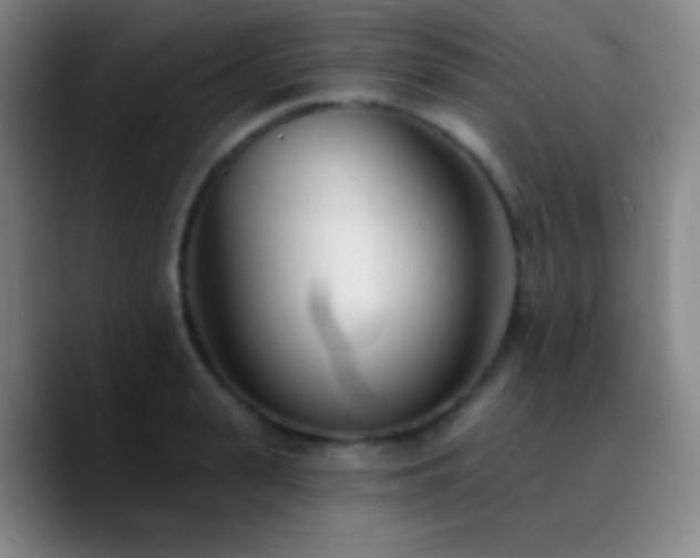 X0000090750943200707201446