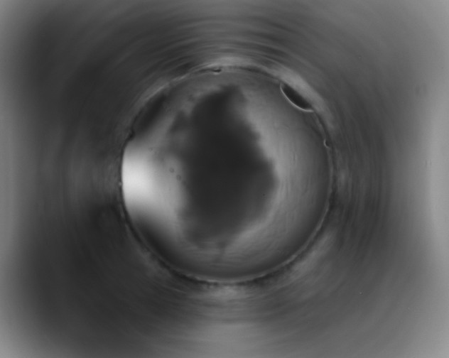 X0000090750945200707201447