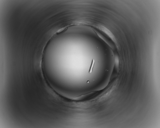 X0000090750946200707201447