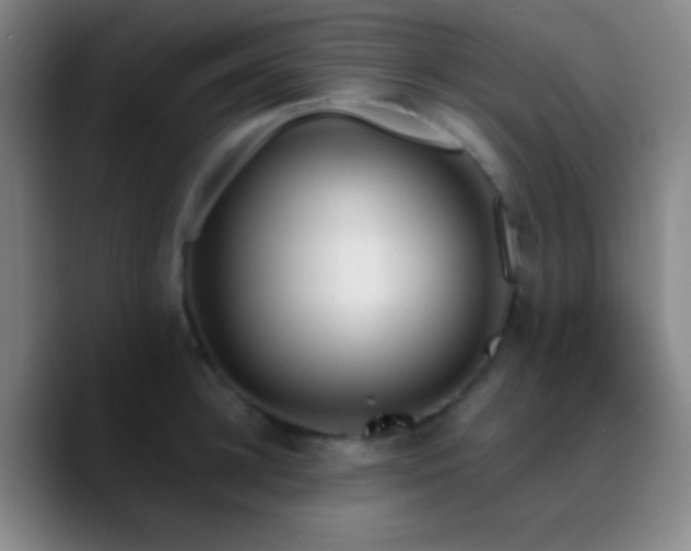 X0000090750948200707201447