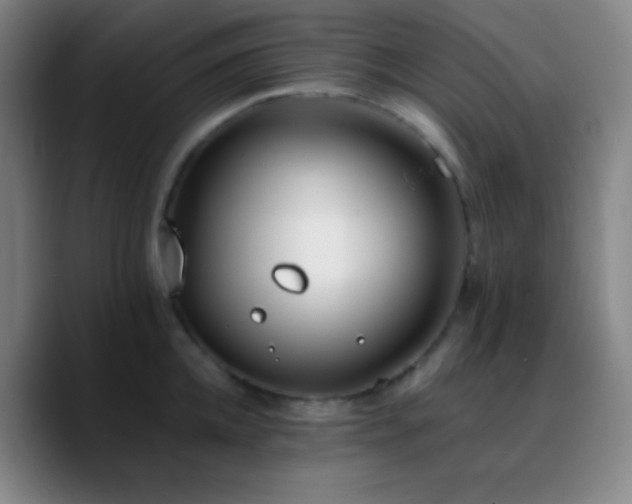 X0000090750952200707201447