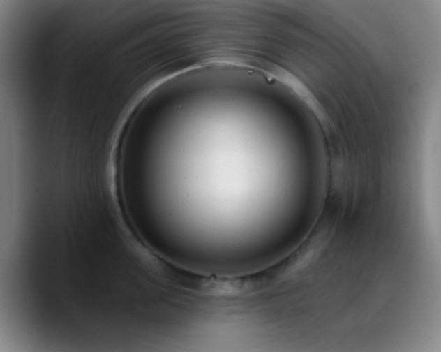 X0000090750955200707201447