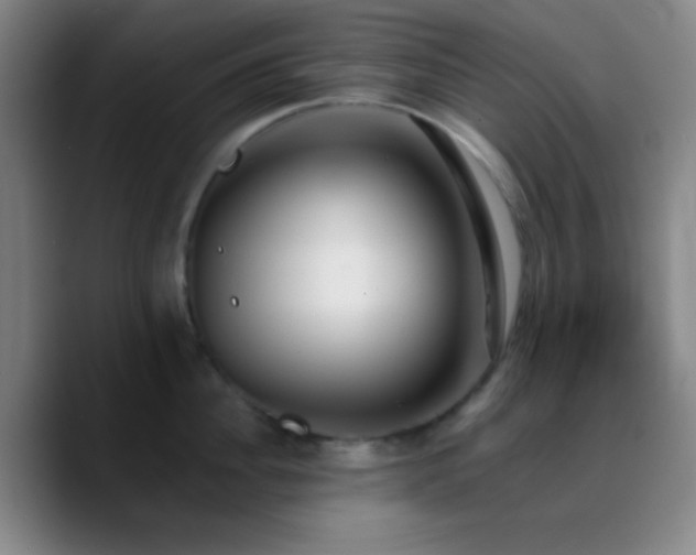 X0000090750956200707201447