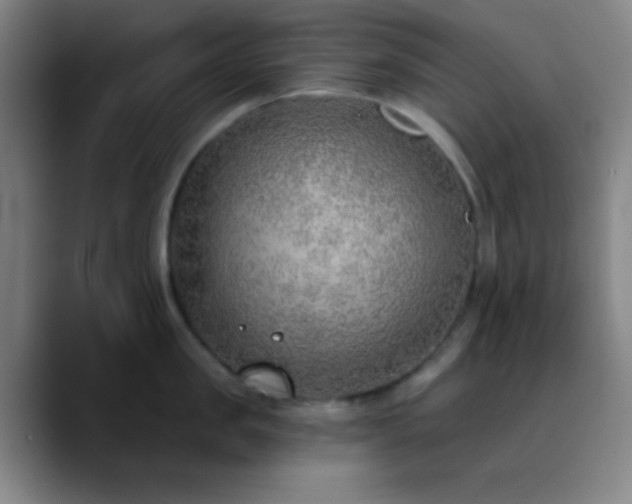 X0000090750957200707201447