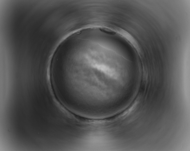 X0000090750958200707201447