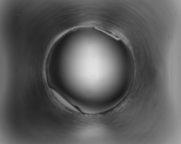 X0000090750960200707201447