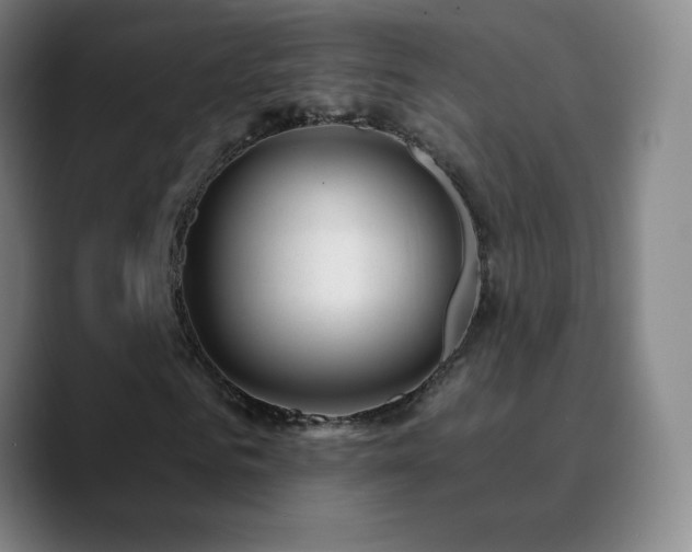 X0000090750961200707201446