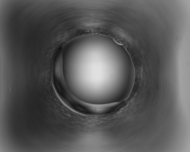 X0000090750965200707201446