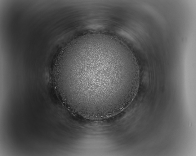 X0000090750966200707201446