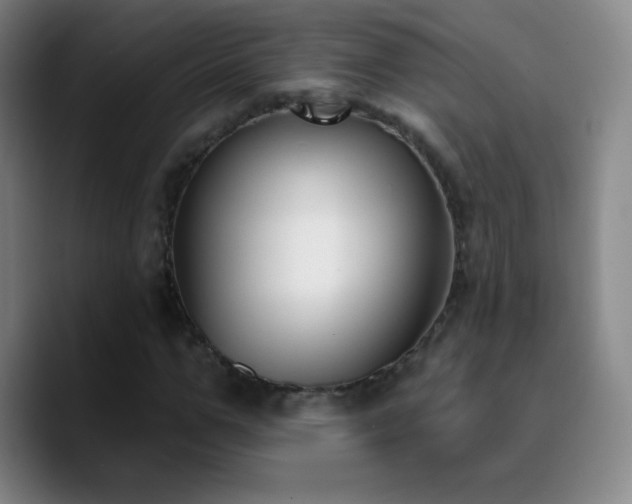 X0000090750967200707201446