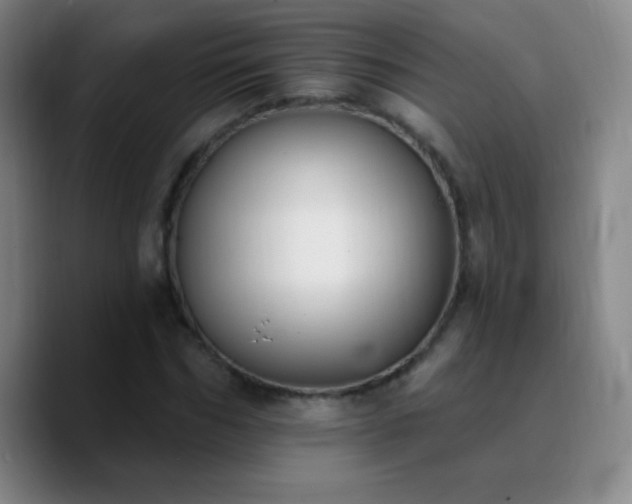 X0000090750970200707201446