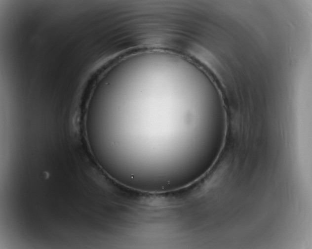 X0000090750971200707201446