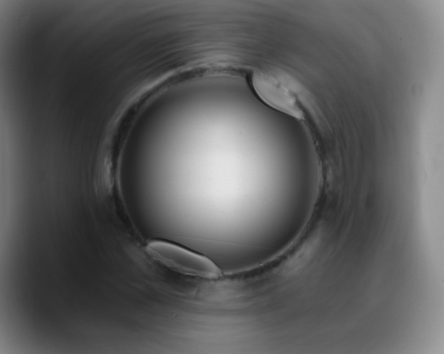 X0000090750973200707201446