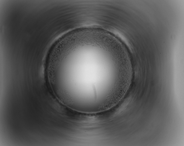 X0000090750975200707201446