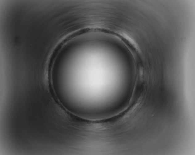 X0000090750976200707201446