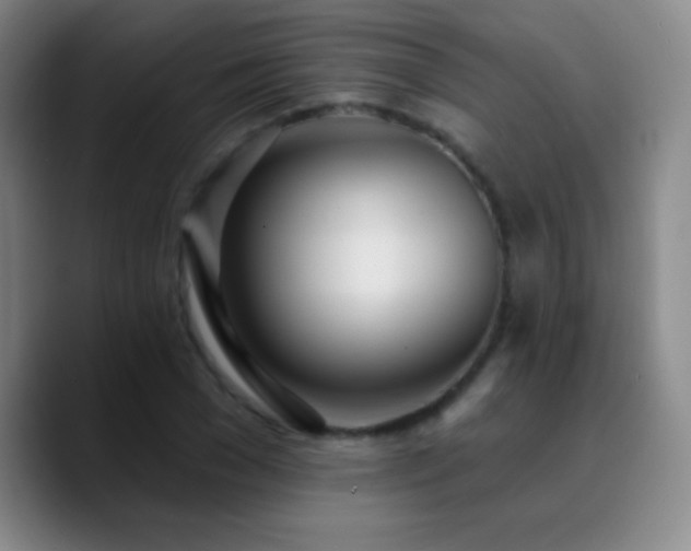 X0000090750977200707201446