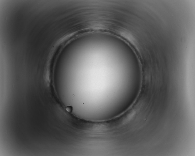 X0000090750979200707201446