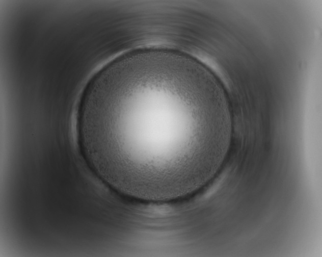 X0000090750983200707201446