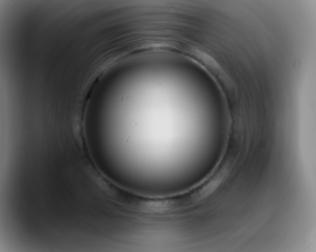 X0000090750985200707201446