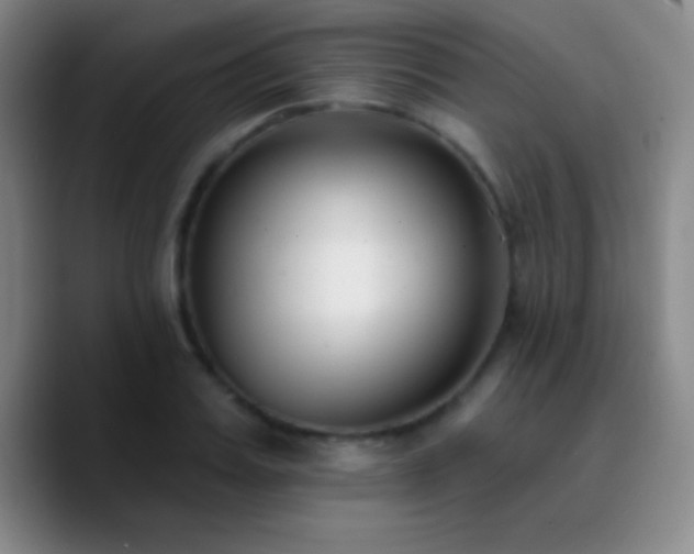 X0000090750987200707201446