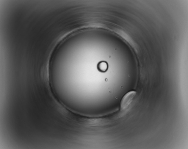 X0000090750988200707201446