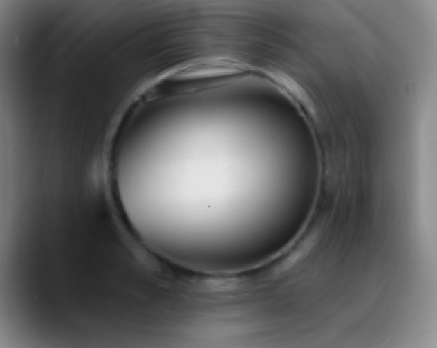 X0000090750989200707201446