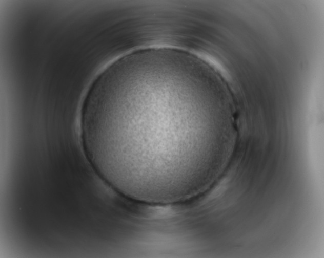 X0000090750990200707201446