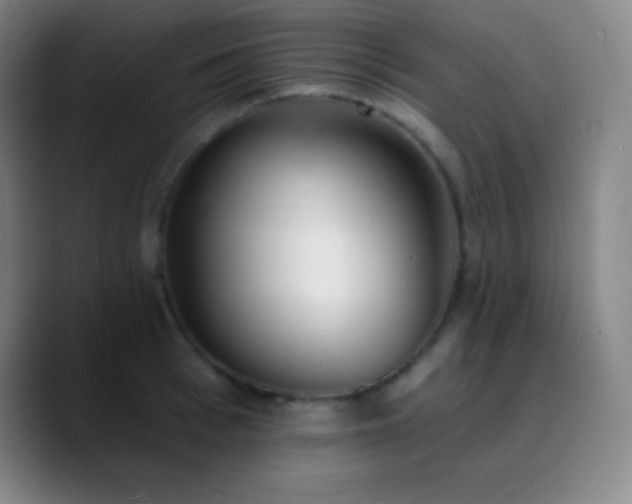 X0000090750993200707201446