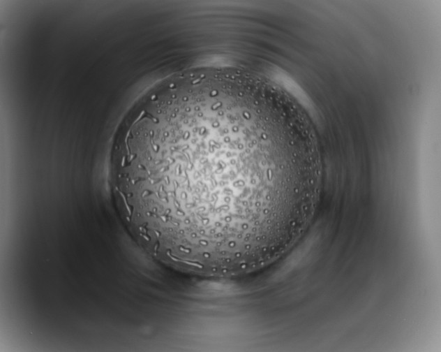 X0000090750994200707201446