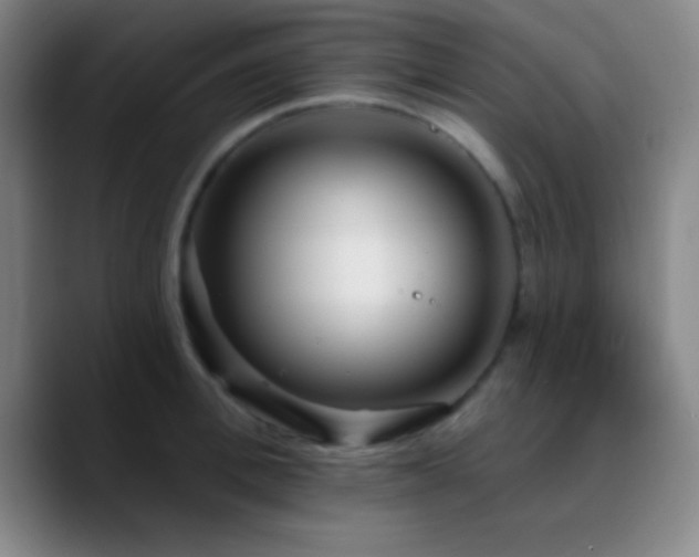 X0000090750996200707201446