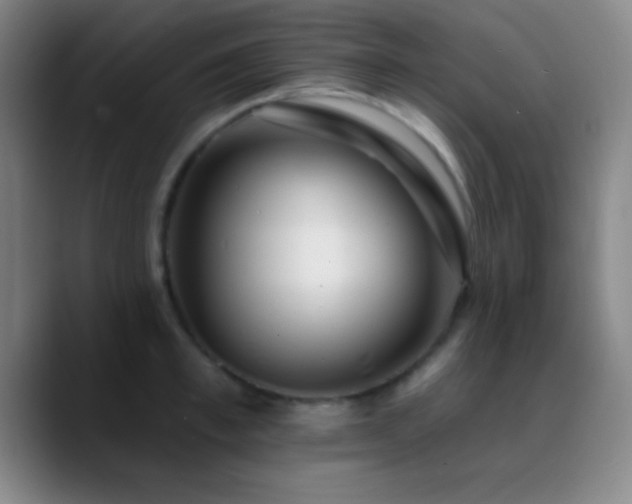 X0000090750997200707201446