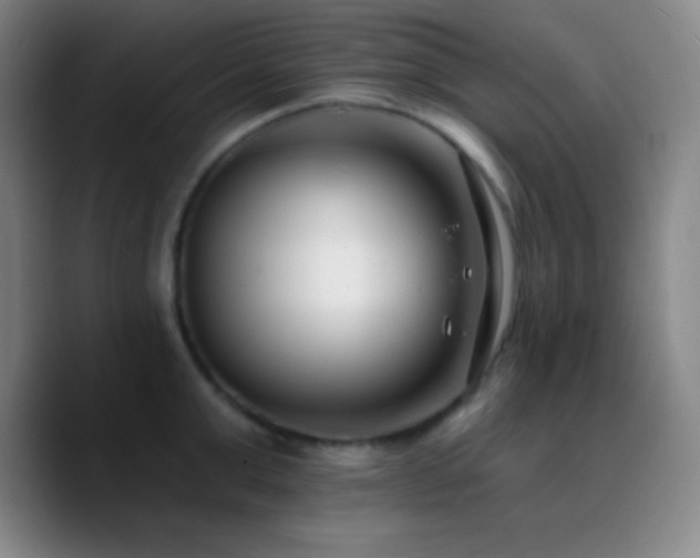 X0000090750999200707201446