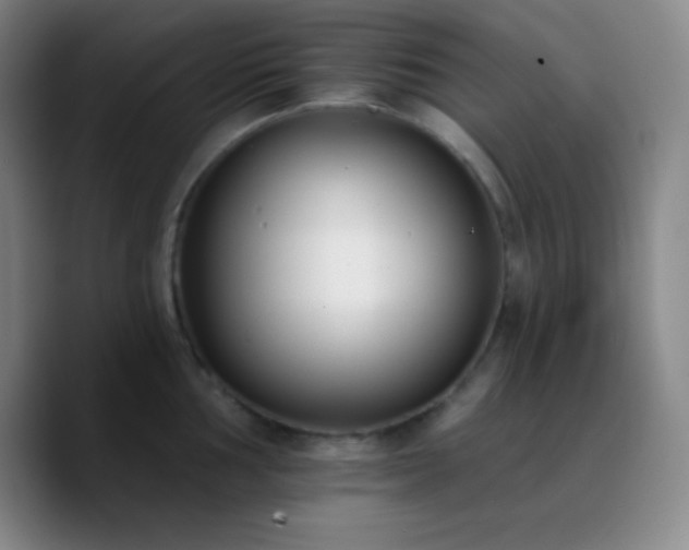 X0000090751002200707201446