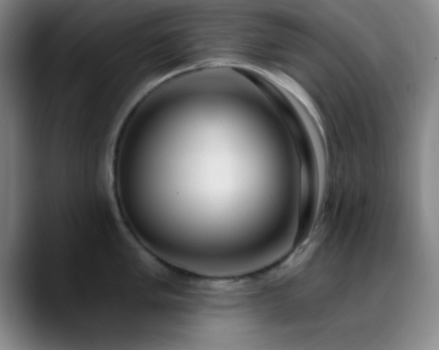 X0000090751005200707201446