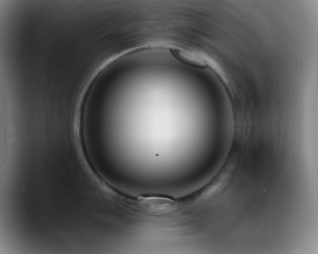 X0000090751007200707201445