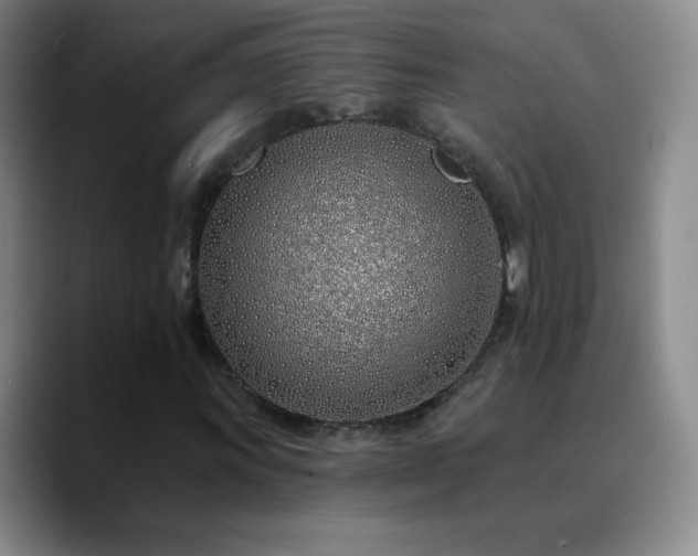 X0000090751011200707201445
