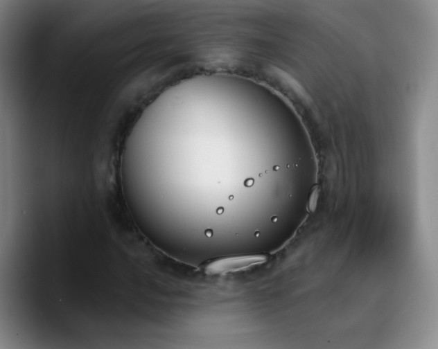 X0000090751016200707201445