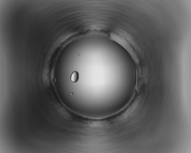 X0000090751018200707201445