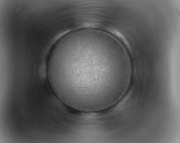 X0000090751019200707201445