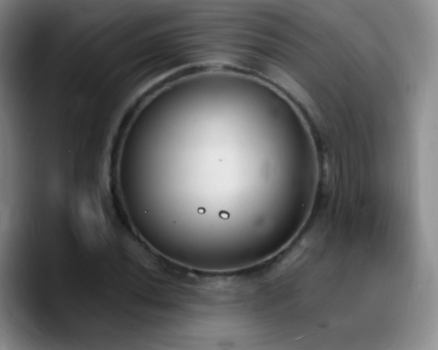 X0000090751020200707201445