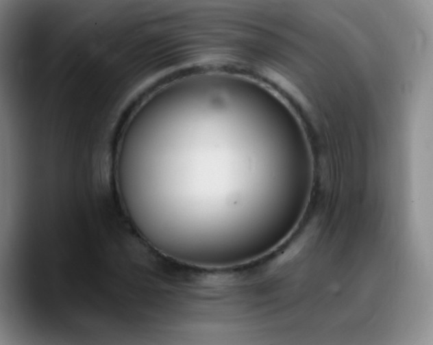 X0000090751021200707201445