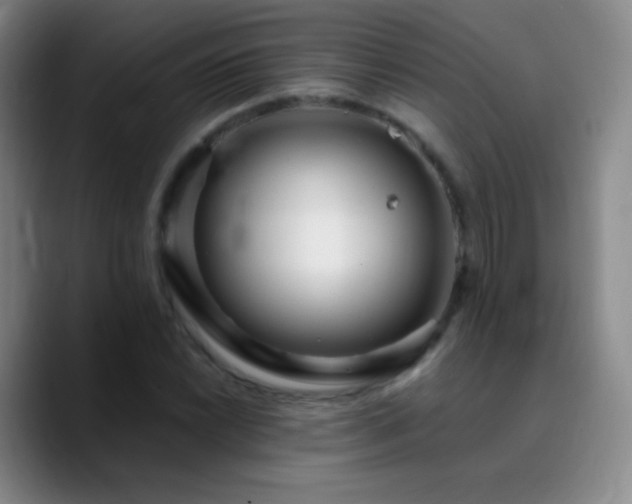 X0000090751022200707201445