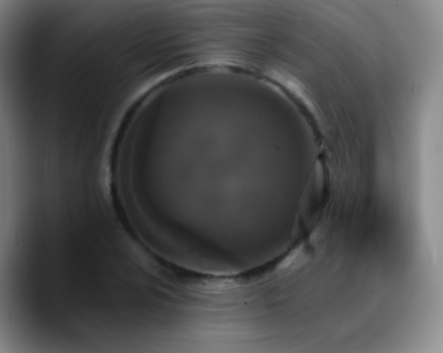 X0000090751024200707201445