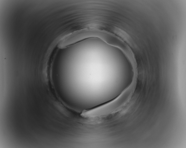X0000090751026200707201445