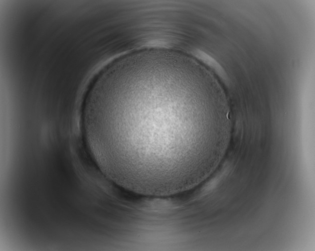 X0000090751027200707201445