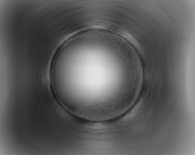 X0000090751028200707201445
