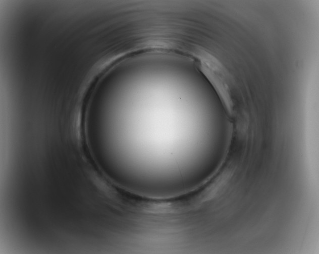 X0000090751030200707201445