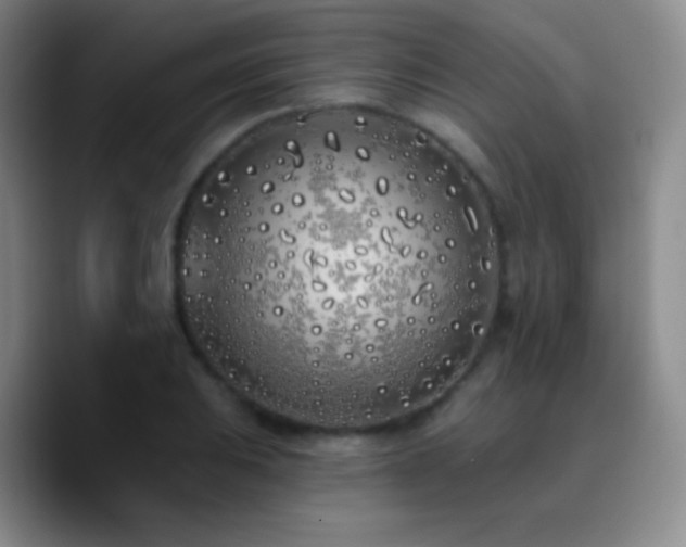 X0000090751031200707201445